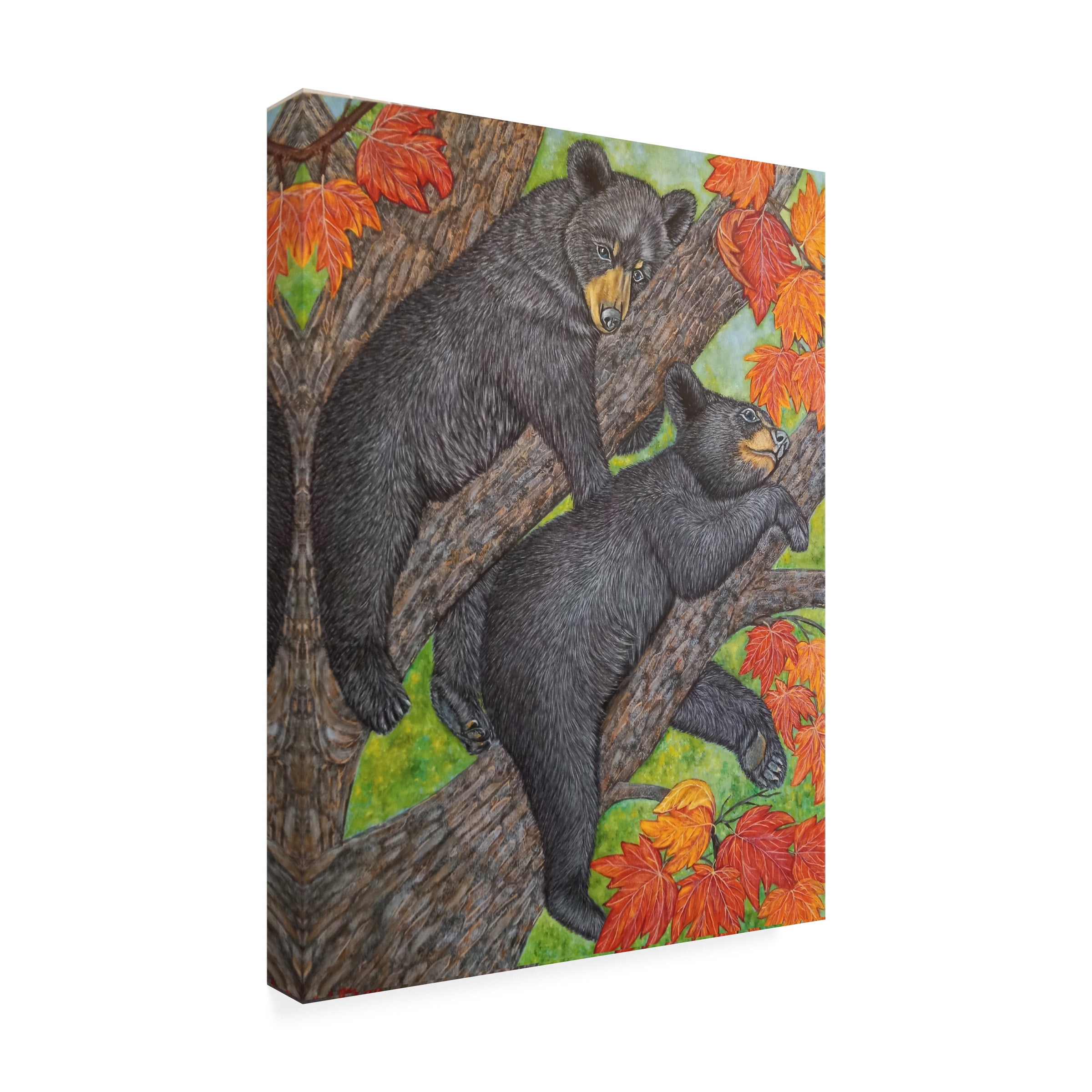 Canvas Wall Art - Sofya Mikeworth 'Black Bear Cubs on a Maple Tree 2' Wall Art for Living Room, Bedroom, or Office DÃ©cor by Trademark Fine Art - 35 x 47 Inches