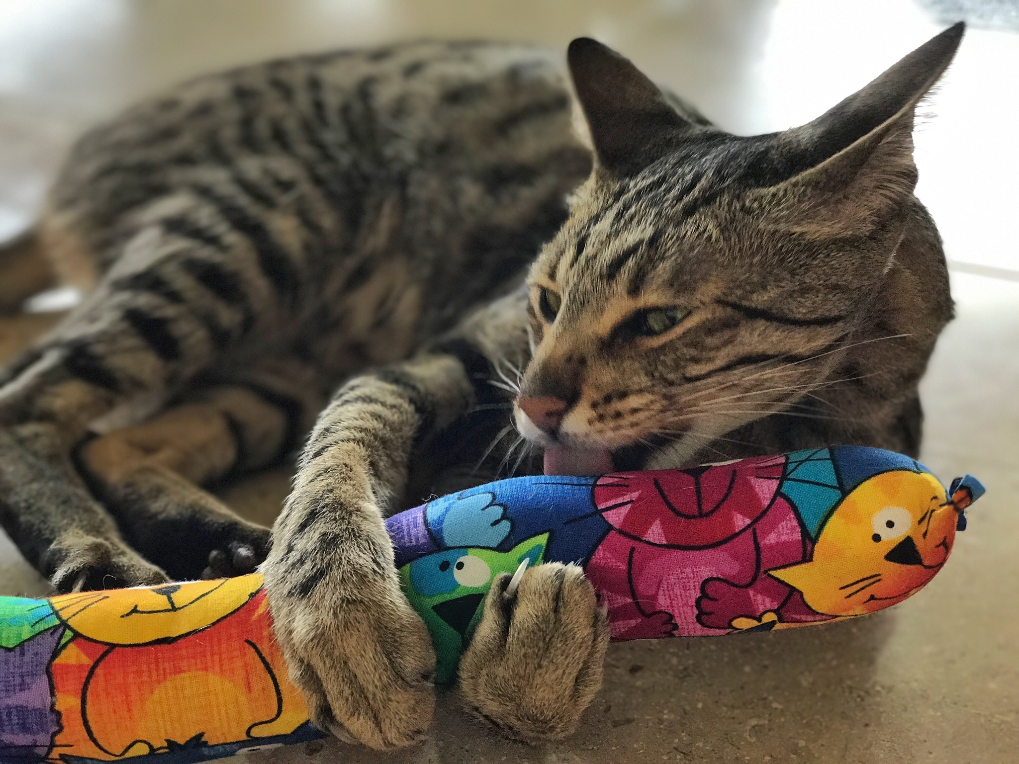 Kitty Kick Stix Katzenminze Spielzeug – 2 Stück, Handgefertigt In USA | Langlebig, Doppelt Genäht, Mit Glöckchen