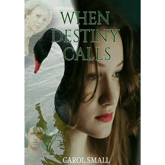 When Destiny Calls, (Paperback)