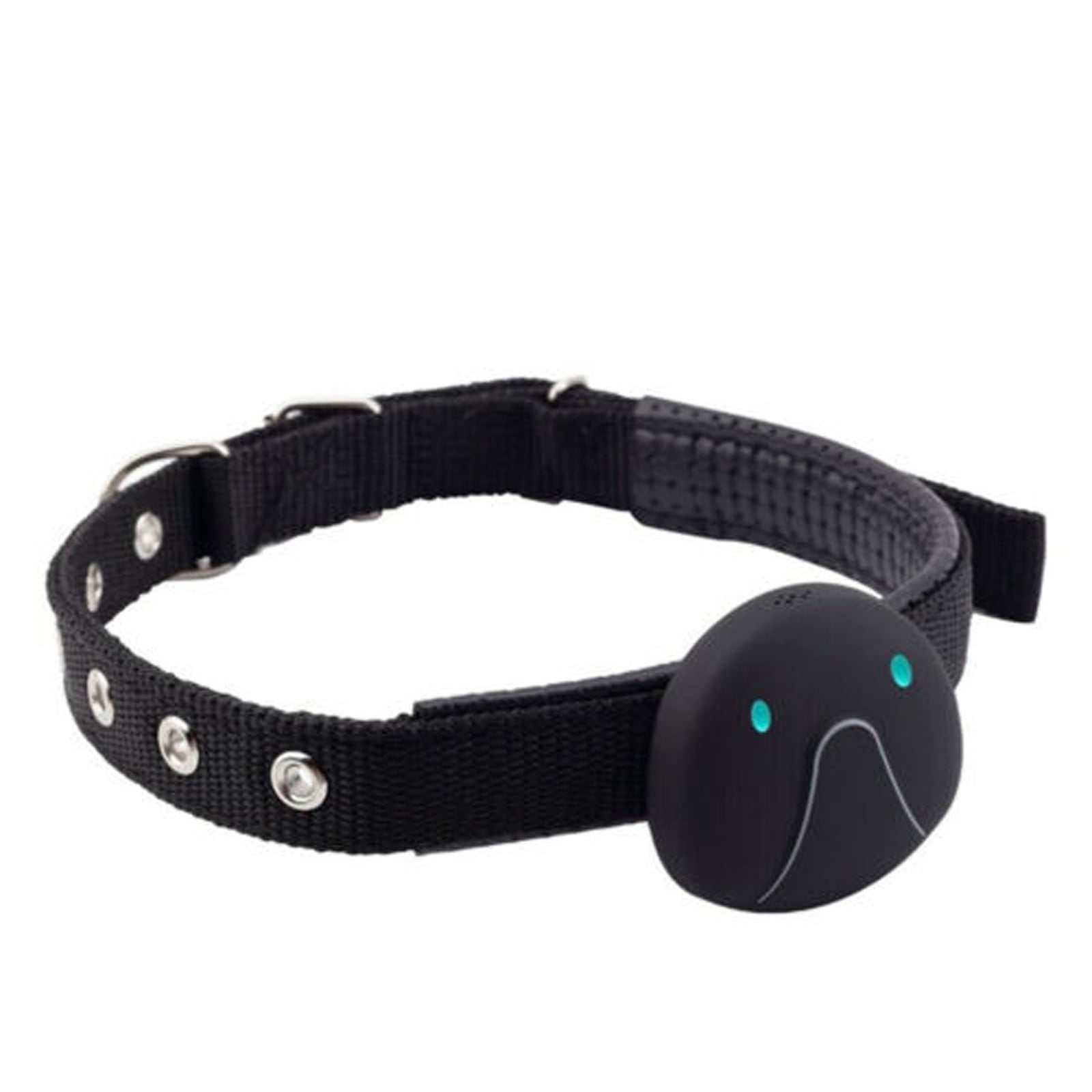 pet tracker collar cat