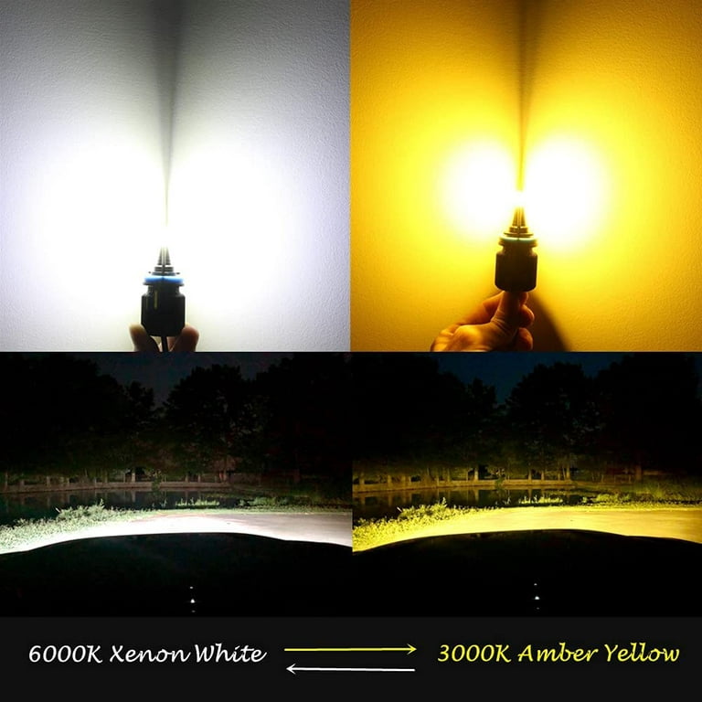2 x Ampoules 12 LED SS HP - H8 - Blanc - PGJ19-1 12V - France-Xenon