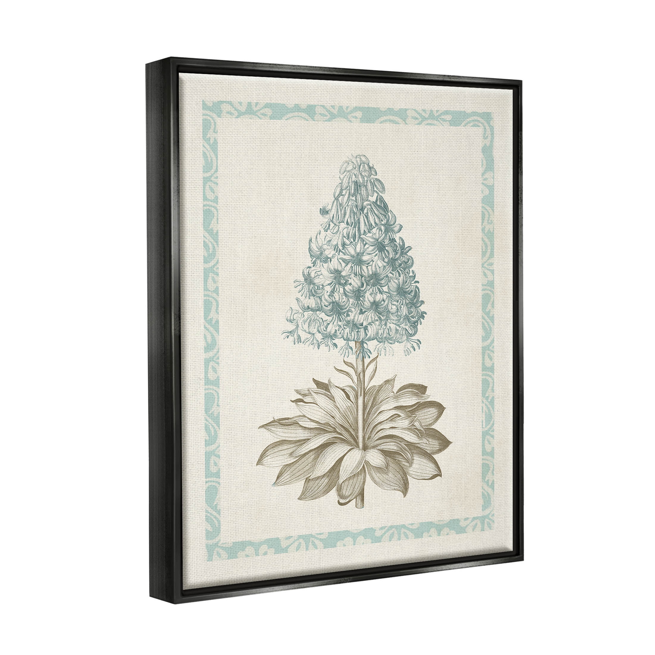Stupell Industries Vintage Plant Nature Study Graphic Art Jet Black Floating Framed Canvas Print Wall Art, Design by Vision Studio