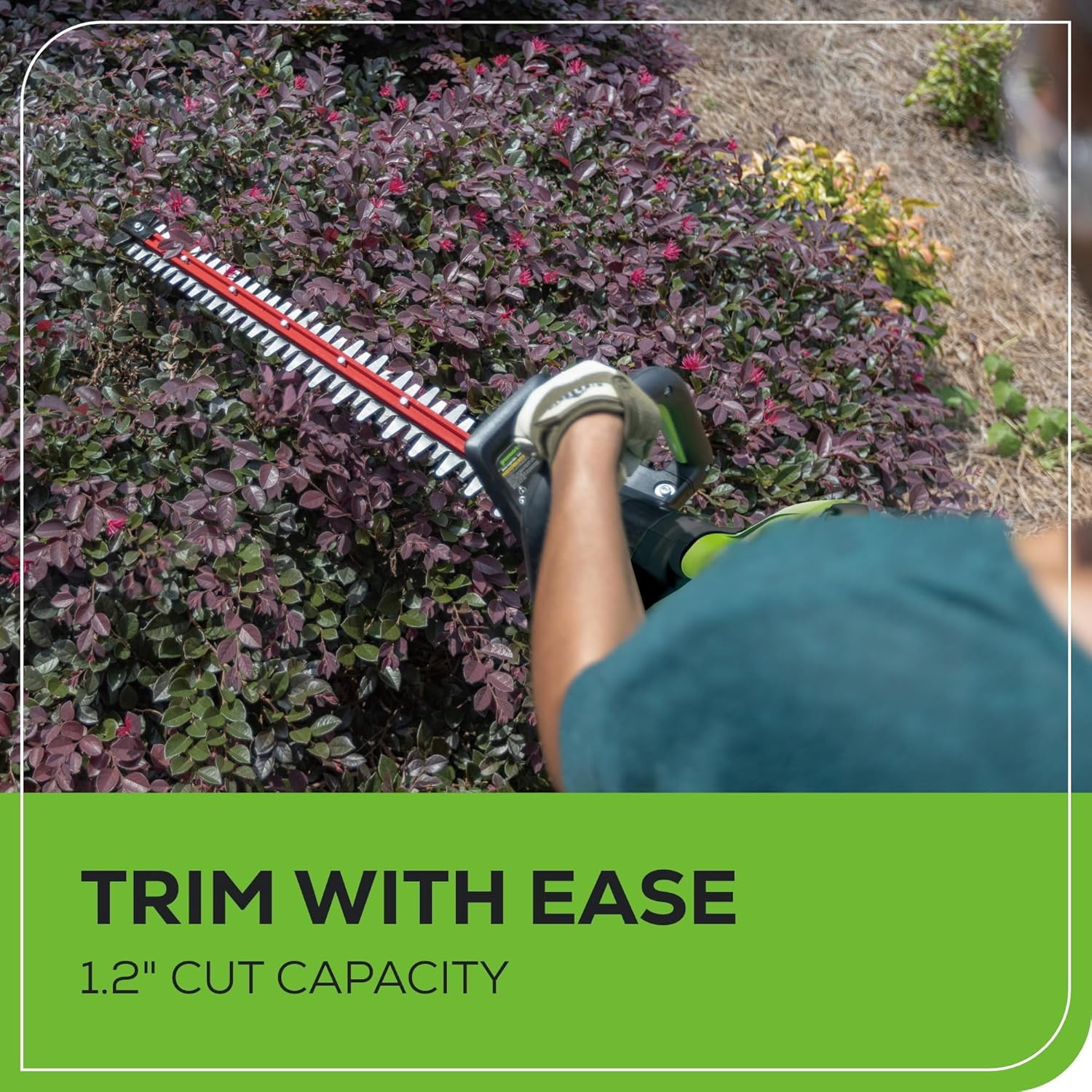Greenworks 80V 26" Brushless Hedge Trimmer, 2.0Ah Battery and 2A Charger