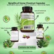 Castaño De Indias (Horse Chestnut Capsules) – 1500 mg per Serving, 90 Veggie Caps, 100% Natural, Premium Dietary Supplement, Made in USA – Supports Circulatory & Vein Health