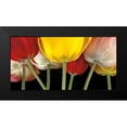 thumbnail image 2 of Frank, Assaf 24x14 Black Modern Framed Museum Art Print Titled - Sunshine Tulips, 2 of 5