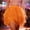 Orange, variant on Skirts for Women Carnival Sequin Midi Skirt with Tiered Flare A-Line for Party and Evening Wear Glittering Gold Festive Fashion Statement Red L