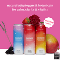 thumbnail image 4 of Moment Botanical Soda Soft Drink (Shark Tank) - SPARKLING Drinks | Fruity Fun | L-Theanine & Ashwagandha for Calm & Clarity | 0 Added Sugar 0 Caffeine | 12-pack, 4 of 5
