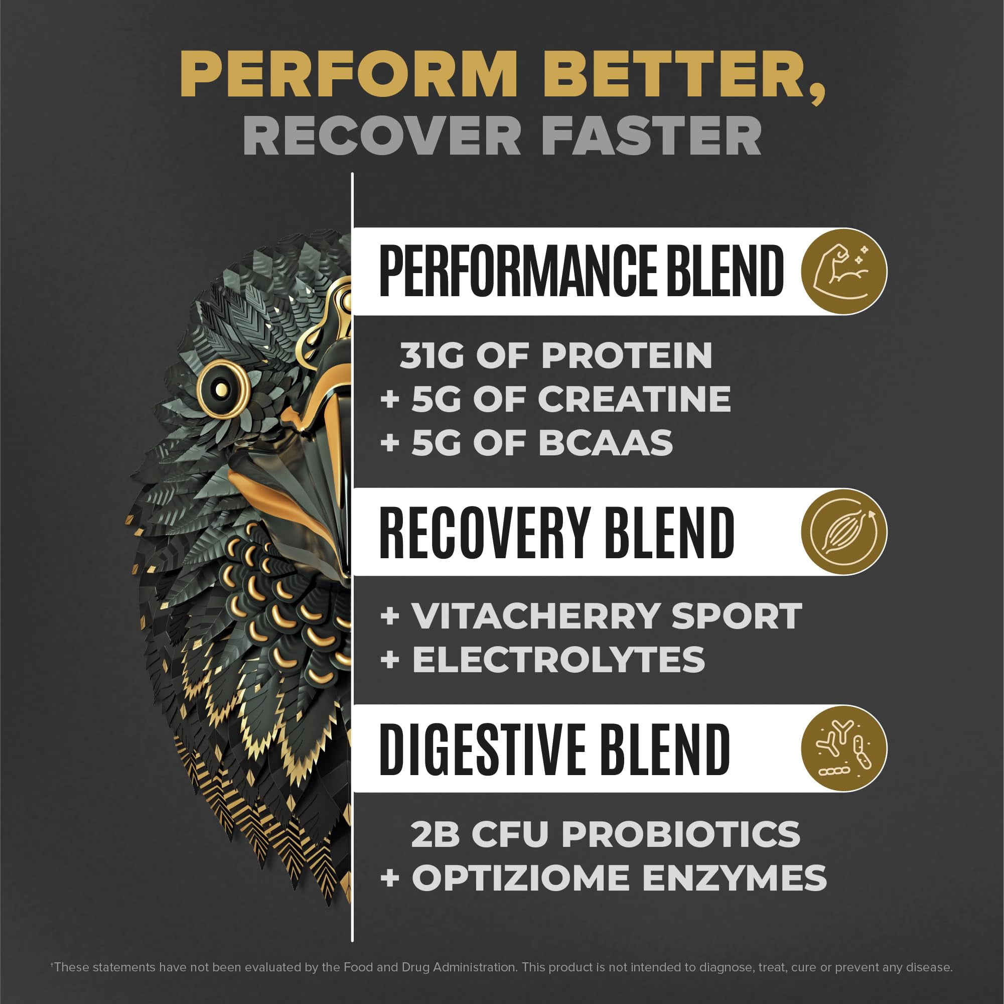 BIRDMAN Falcon Performance Vegan Protein Powder with Creatine, Vanilla Flavor, 49 Servings, 5lb