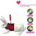 thumbnail image 5 of Bunny Kitten Harness No Pull Cat Leash Stylish Vest Harness, for Small Animal Adjustable Soft Breathable Walking Harness Set, 5 of 7