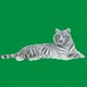 thumbnail image 5 of Bricolaje diamante blanco tigre pintura cruz puntada costura manualidades decoración Hugtrwg Para estrenar, 5 of 9