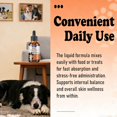 thumbnail image 4 of Suplemento Kivori Lab en gotas para infecciones por hongos para perros, 60 ml, 4 of 6
