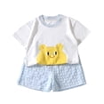 thumbnail image 2 of SGFCWSX Boys Girls 2 Piece Outfits Graphic Short Sleeve T-Shirt and Gingham Plaid Shorts Summer Casual Clothes Set for Kids Light Blue Size 5T, 2 of 7