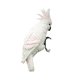 thumbnail image 1 of Estatuilla de resina para pájaros, decoración artística para patio, escultura de animales, figuritas para césped, loros Blanco Cola estatua de loro, 1 of 8