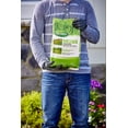 Scotts Lawn Moss Control Granules, EasytoUse Shaker Jug, 18.37 lbs