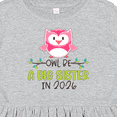 thumbnail image 4 of Inktastic Owl Be a Big Sister in 2026 Girls Toddler Dress, 4 of 5