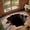 #C, variant on AsdQ 3D Optical Illusion Rug - Vortex & Bottomless Hole Design Non-Slip Doormat | Indoor/Outdoor Use for Entrance, Living Room, Playroom & Office (#B, 15.7in x 23.6in)