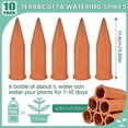 thumbnail image 2 of 10 puntas de riego automático Zhivalor para plantas de terracota, 2 of 5
