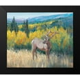 thumbnail image 2 of OToole, Tim 14x12 Black Modern Framed Museum Art Print Titled - View From the Top I, 2 of 5