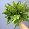 thumbnail image 5 of Cinvoph Artificial Stems Fake Plant Artificial Branches Plants for Centerpiece Table Decorations Wedding Home Greenery Decor Vase Filler, 5 of 9