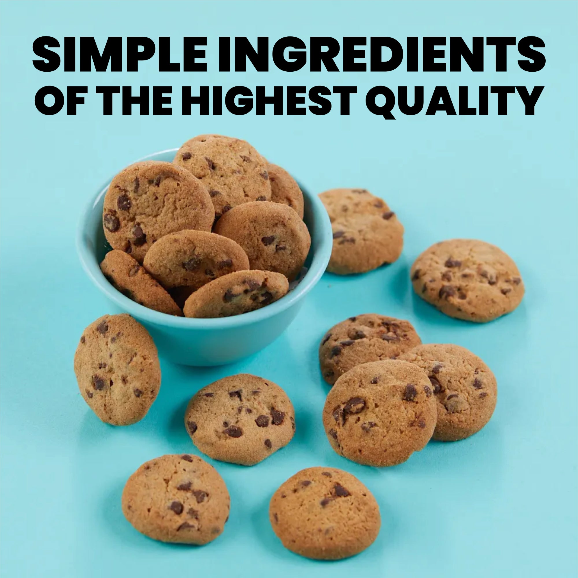 Cheryl's Cookies® Party Crunchy Chocolate Chip Cookie Pail, with 30 Pack of Individually Wrapped Chocolate Chip Cookies, Gift for Any Occasion, Family, Friends, Coworkers