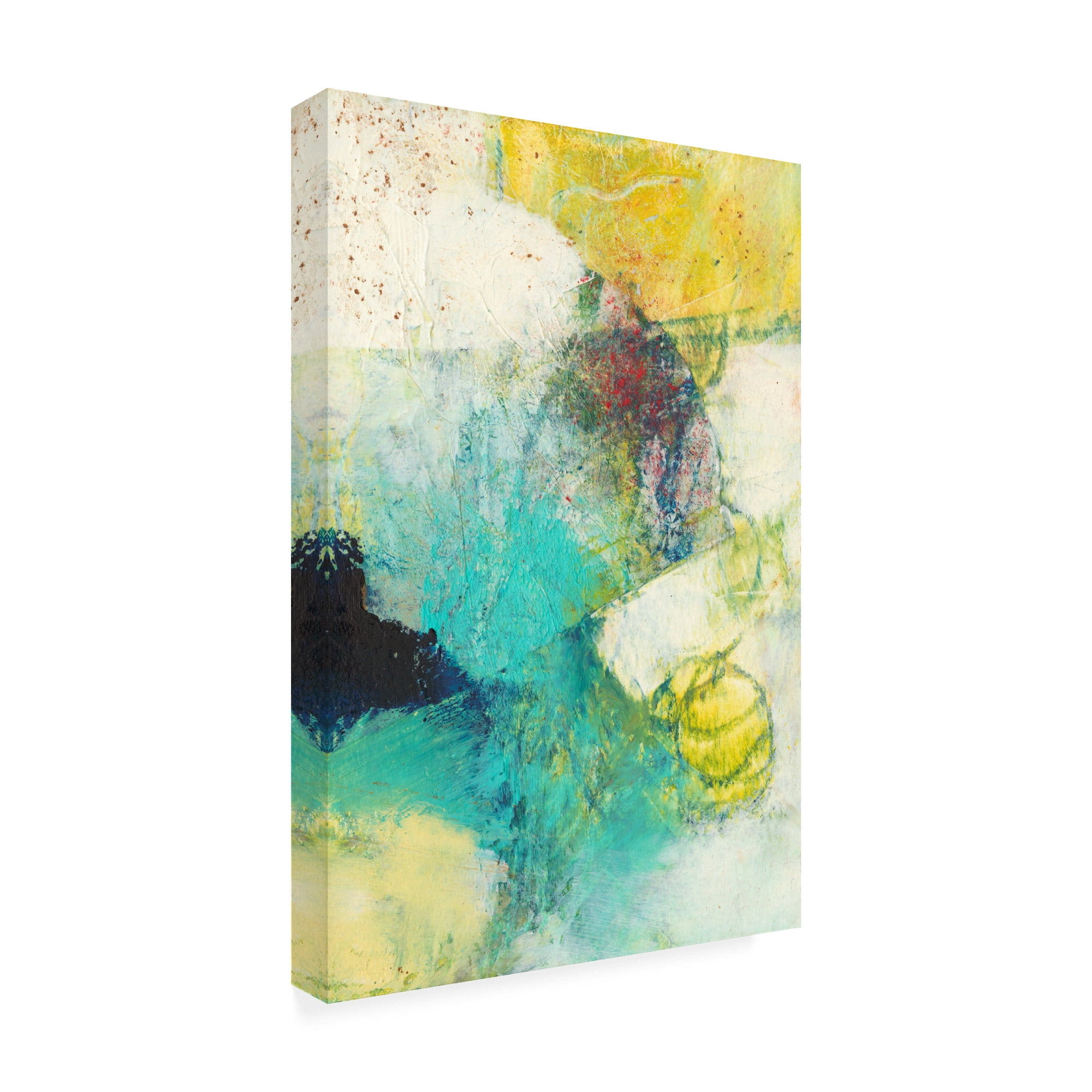 Trademark Fine Art 'Underlying II' Canvas Art by Sue Jachimiec