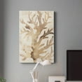 thumbnail image 5 of Parchment Coral III Premium Gallery Wrapped Canvas - Ready to Hang, 5 of 7