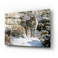 thumbnail image 2 of Epic Art 'Winter Sage-Coyote' by Ron Parker, Acrylic Glass Wall Art, 24"x16", 2 of 8