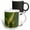 Multicolor, variant on 3drose, Usa, Florida, Palmetto, Sabal Palmetto, Detail, 15oz Two-tone Green Mug