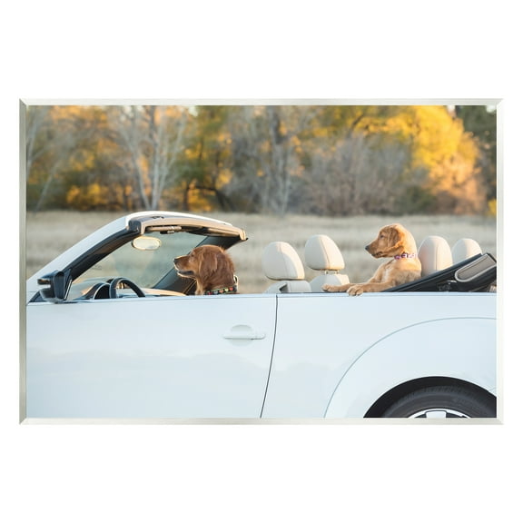 Stupell Industries Dogs Driving Convertible Animals & Insects Photography Unframed Art Print Wall Art, 15 x 10