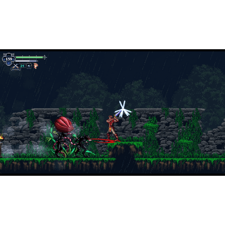 Nintendo Switch - クロニクルズ・オブ・ザ・ウルフ 北米版 switch ニンテンドースイッチ Nintendo Switch - クロニクルズ・オブ・ザ・ウルフ 北米版