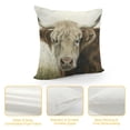 thumbnail image 4 of Orinice Cow Graphic Decorative Throw Pillow Cover for Home Couch Living Room Bed Sofa 20x20in, 4 of 5
