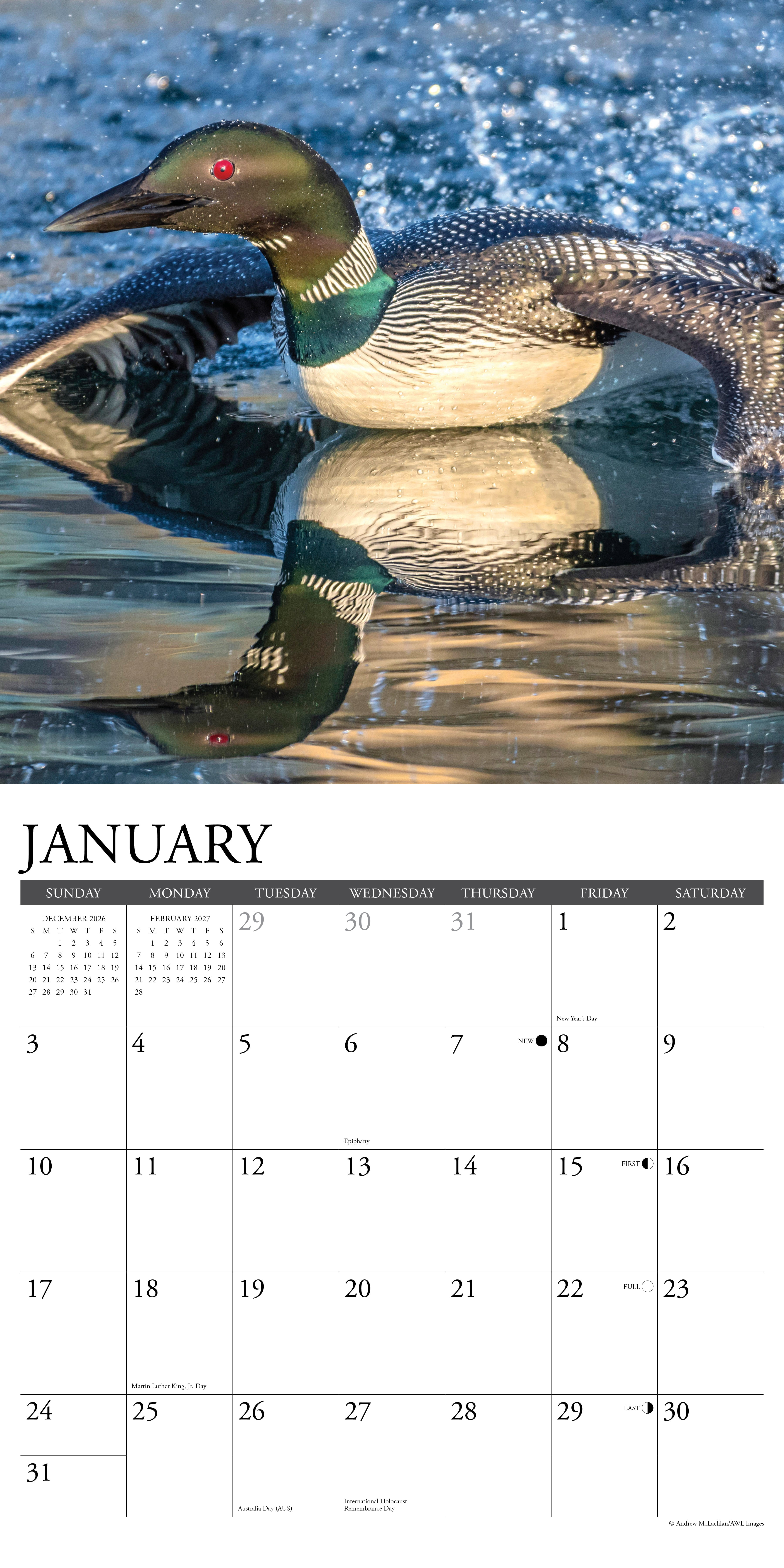 Willow Creek Press, Loons 2027 Wall Calendar