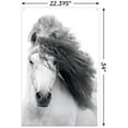 thumbnail image 3 of Grayscale Horse Wall Poster with Push Pins, 22.375" x 34", 3 of 5