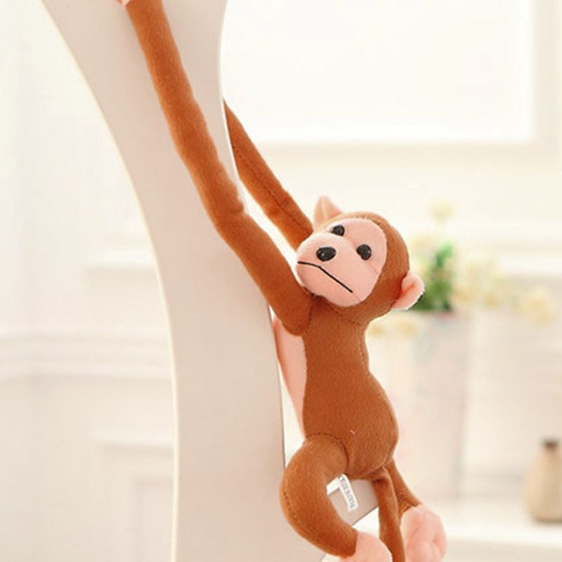 long arm monkey