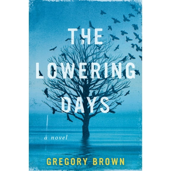 Pre-Owned The Lowering Days (Hardcover) 0062994131 9780062994134