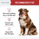 thumbnail image 5 of Aceite de salmón Supplement Chew + Heal para piel y pelo de perros, 180 unidades masticables, 5 of 8