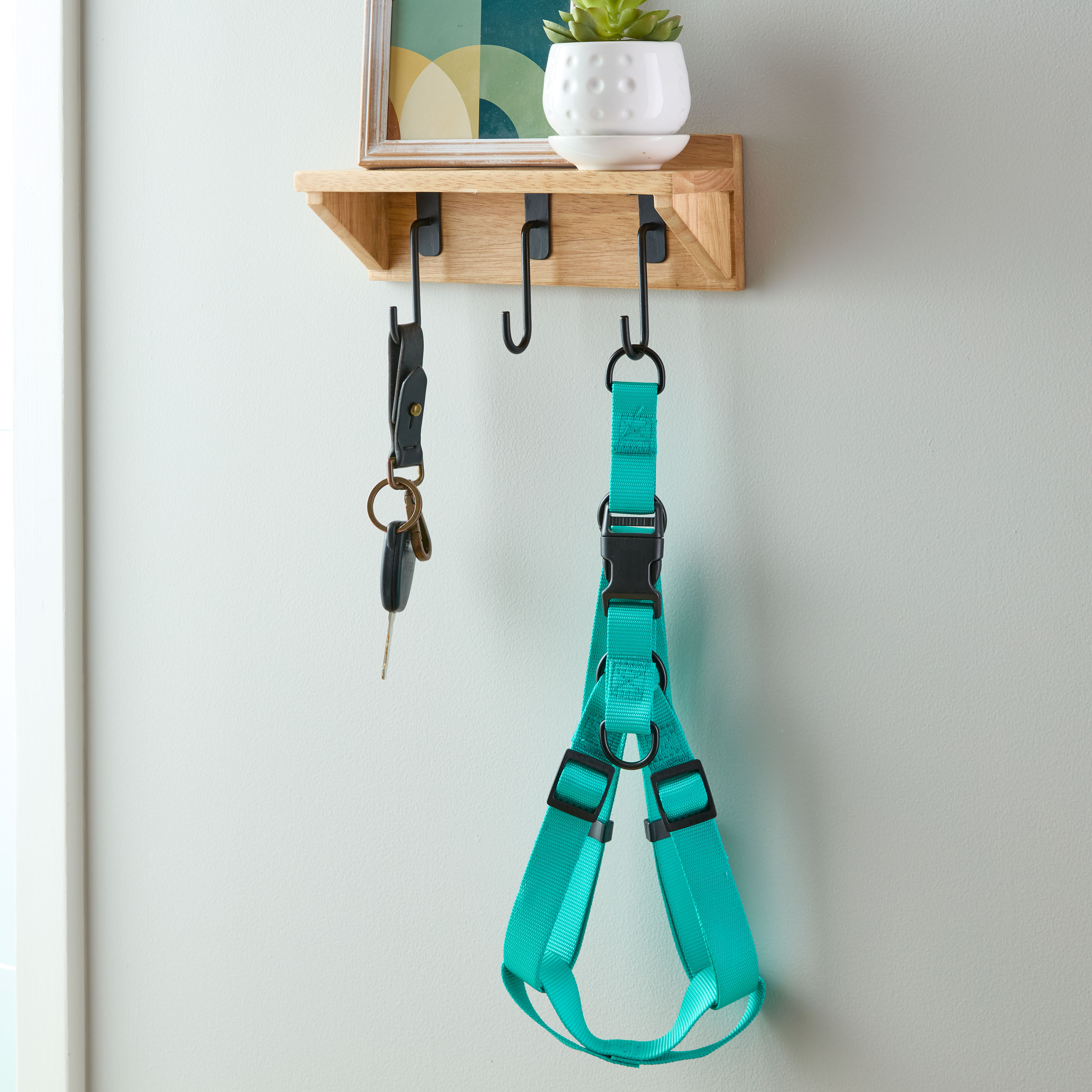 Vibrant Life Polyester Step-in Dog Harnesses, Teal, L