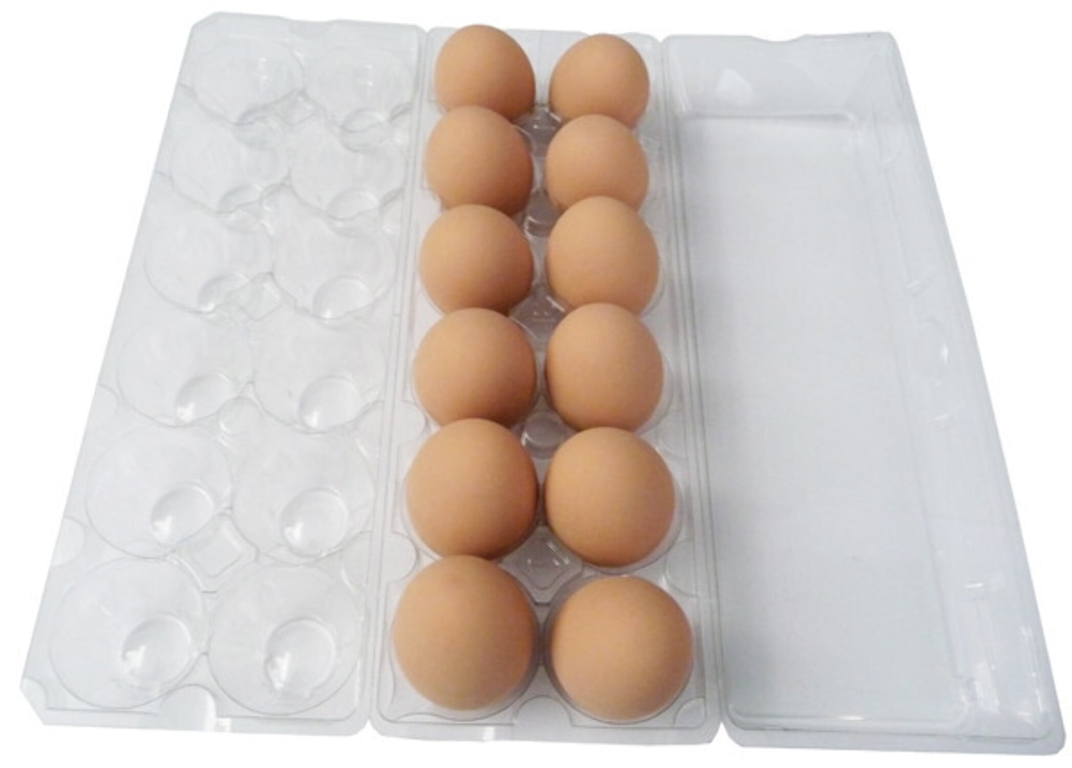 Jumbo Cell 12-Egg Clear Plastic Carton - 35 pack