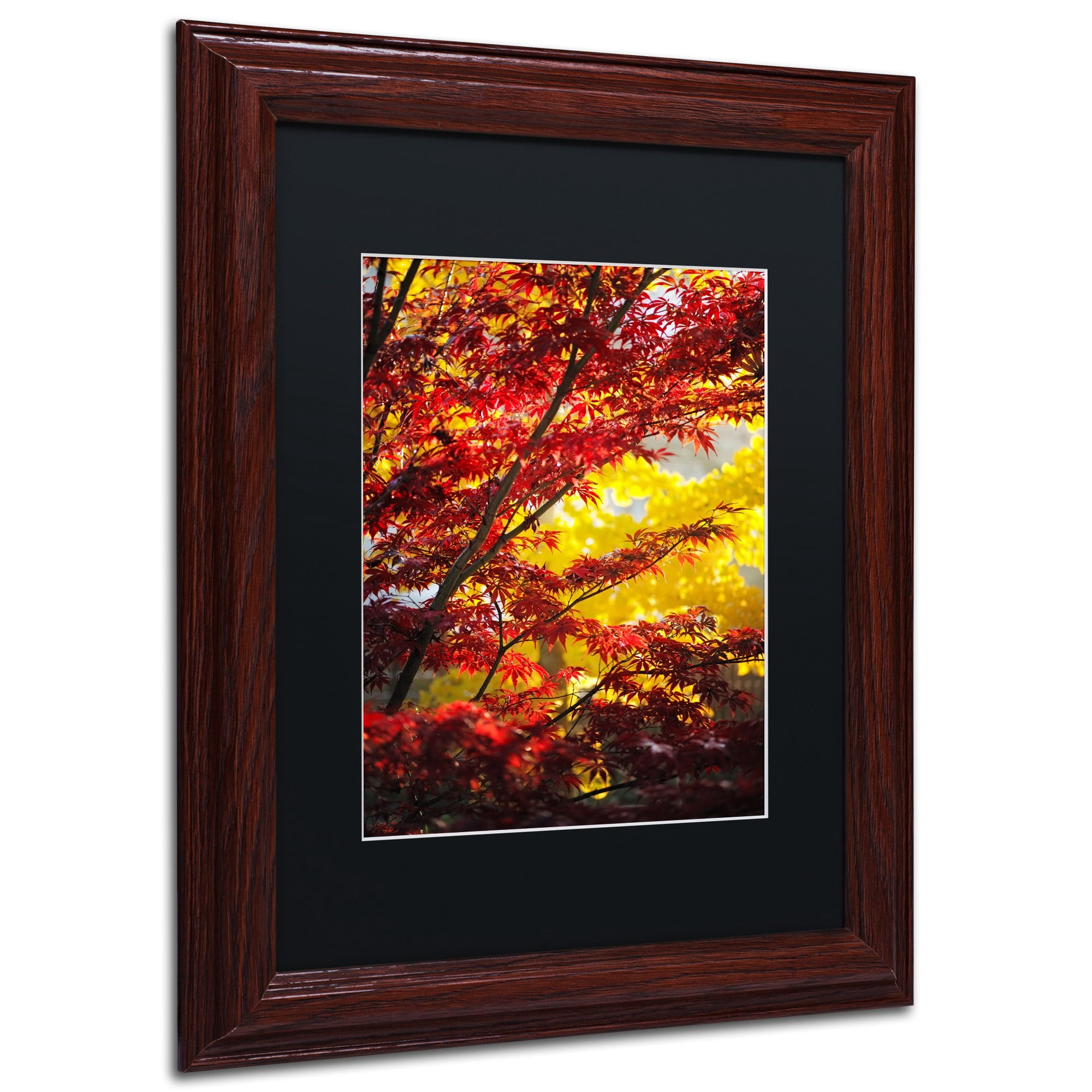 Trademark Fine Art "I Believe" Canvas Art by Philippe Sainte-Laudy Black Matte, Wood Frame