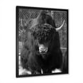 thumbnail image 2 of Designart 'Portrait Of Monochrome Wild Bull In Winter Forest II' Farmhouse Framed Art Print, 2 of 4