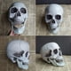 thumbnail image 3 of Esculturas de estatuas para decoración de Halloween, modelo de cabeza de calavera Artificial, hueso de calavera de plástico, esqueleto de terror aterrador, adorno para Bar y fiesta, 3 of 3