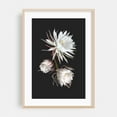 thumbnail image 2 of Queen of the Night - Illustration Floral Botanical Flowers Nature Minimalist Modern Art Art Deco Unframed Wall Art Print 40 x 60 inches, 2 of 60
