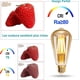thumbnail image 5 of E27 St64 Led Filament Bulb 4w 2200k Warm White, Retro Edison Vintage Antique Lamp Bulbs, 400lm Equivalent To 35w Incandescent Bulb, Pack Of 6, 5 of 5