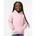 thumbnail image 5 of IWPF - Big Girls Hoodies and Sweatshirts - Hawaii, 5 of 5