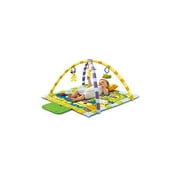 Little Tikes Locking Links Snap & Snuggle Gym