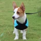 thumbnail image 4 of Ropa cálida de invierno para perros, chaleco impermeable para cachorros, chaqueta acolchada para mascotas, chaqueta con cremallera en la espalda, abrigo para perros pequeños, medianos y grandes, 4 of 5