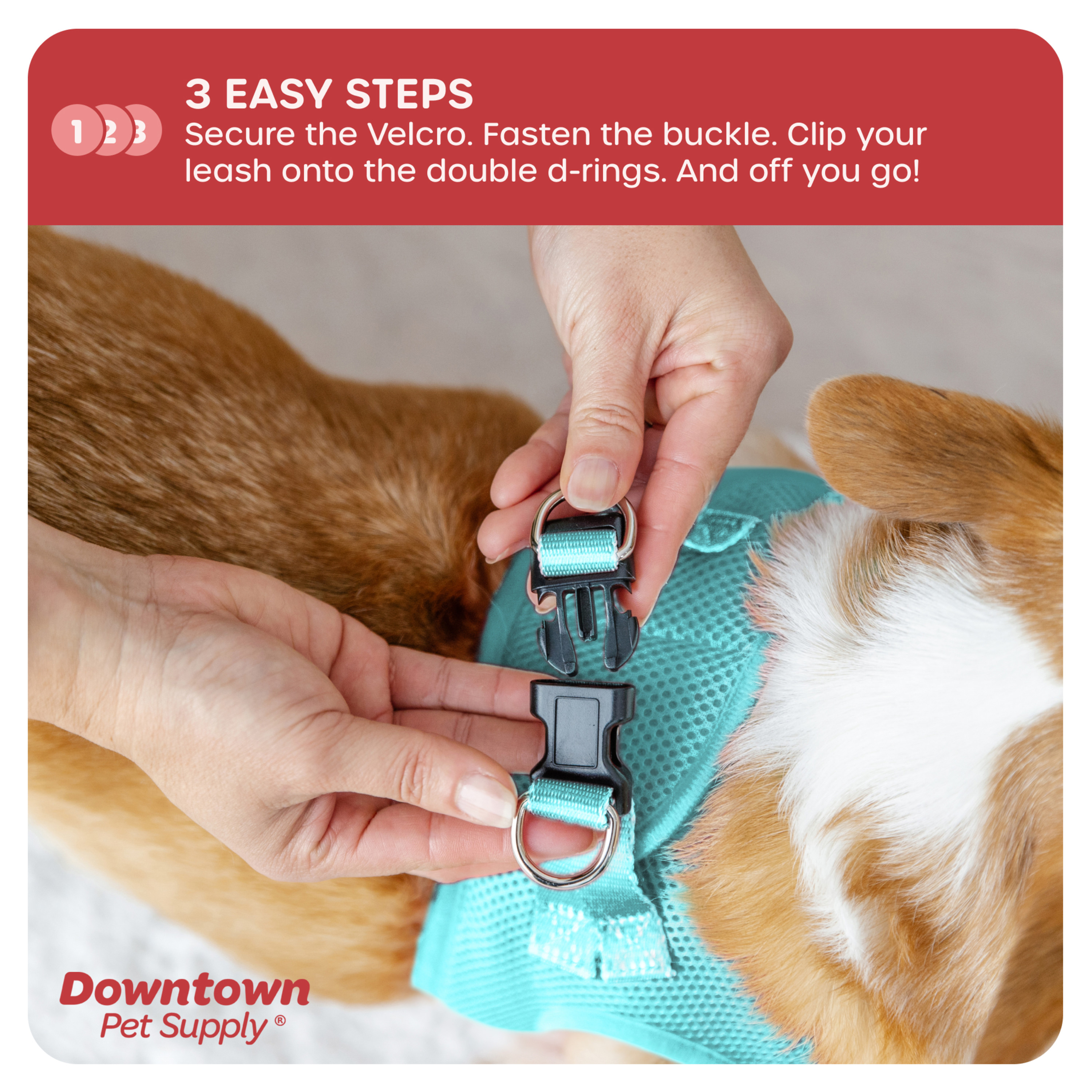 Downtown Pet Supply Step-In Dog Harness, X-Large, Light Blue photo 6