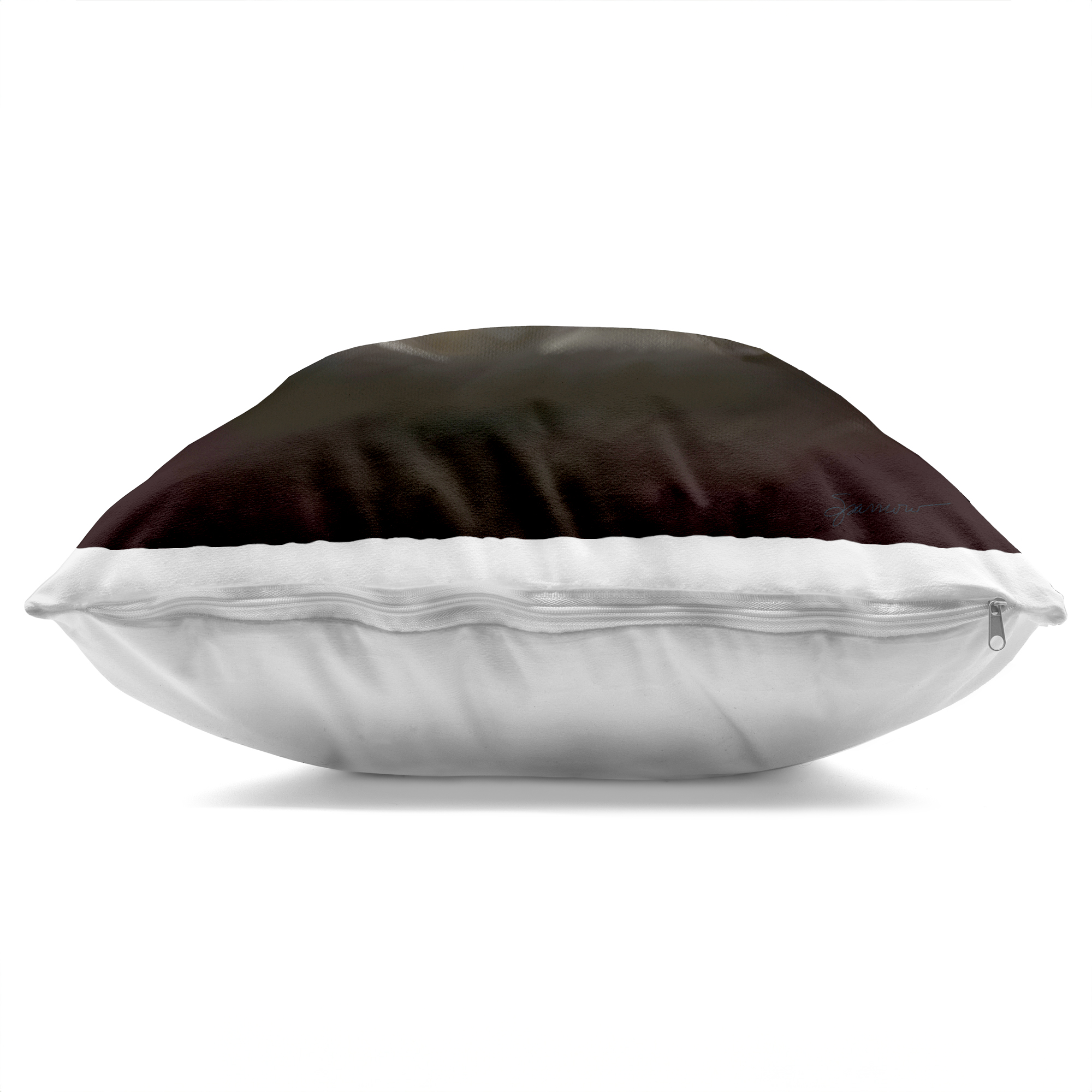 Stupell Industries Treasure Of Sea Shell Decorative Printed Throw Pillow, design by Mary Sparrow