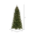 thumbnail image 3 of Vickerman 6.5' x 40" Douglas Fir Artificial Slim Pre-Lit Christmas Tree, Warm White LED Mini Lights., 3 of 5