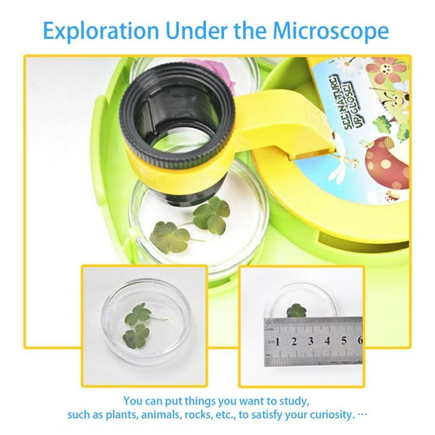 TD® Jouets Scientifiques Et éducatifs Pour Enfants Trésor De Pirate